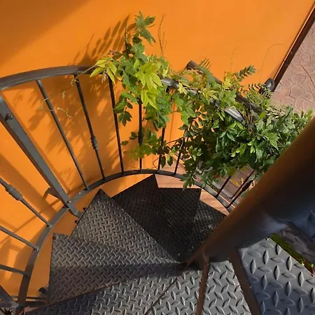 Terrazzina Da Masha *